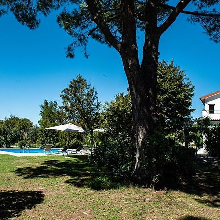 Terre Etrusche Guest House-Terme -3 Minuti Da Viterbo Centro מראה חיצוני תמונה