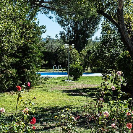 Terre Etrusche Guest House-Terme -3 Minuti Da Viterbo Centro מראה חיצוני תמונה