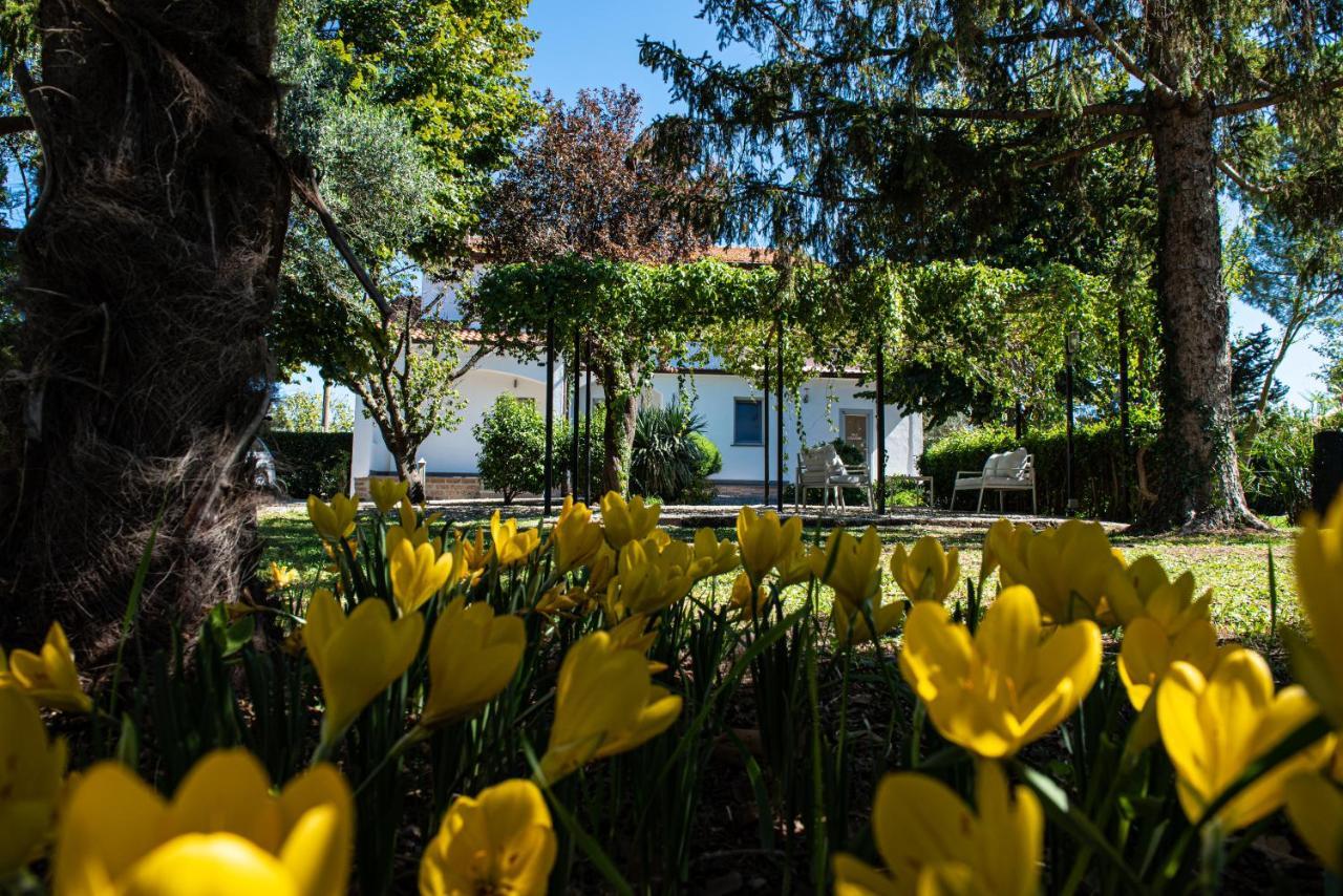Terre Etrusche Guest House-Terme -3 Minuti Da Viterbo Centro מראה חיצוני תמונה