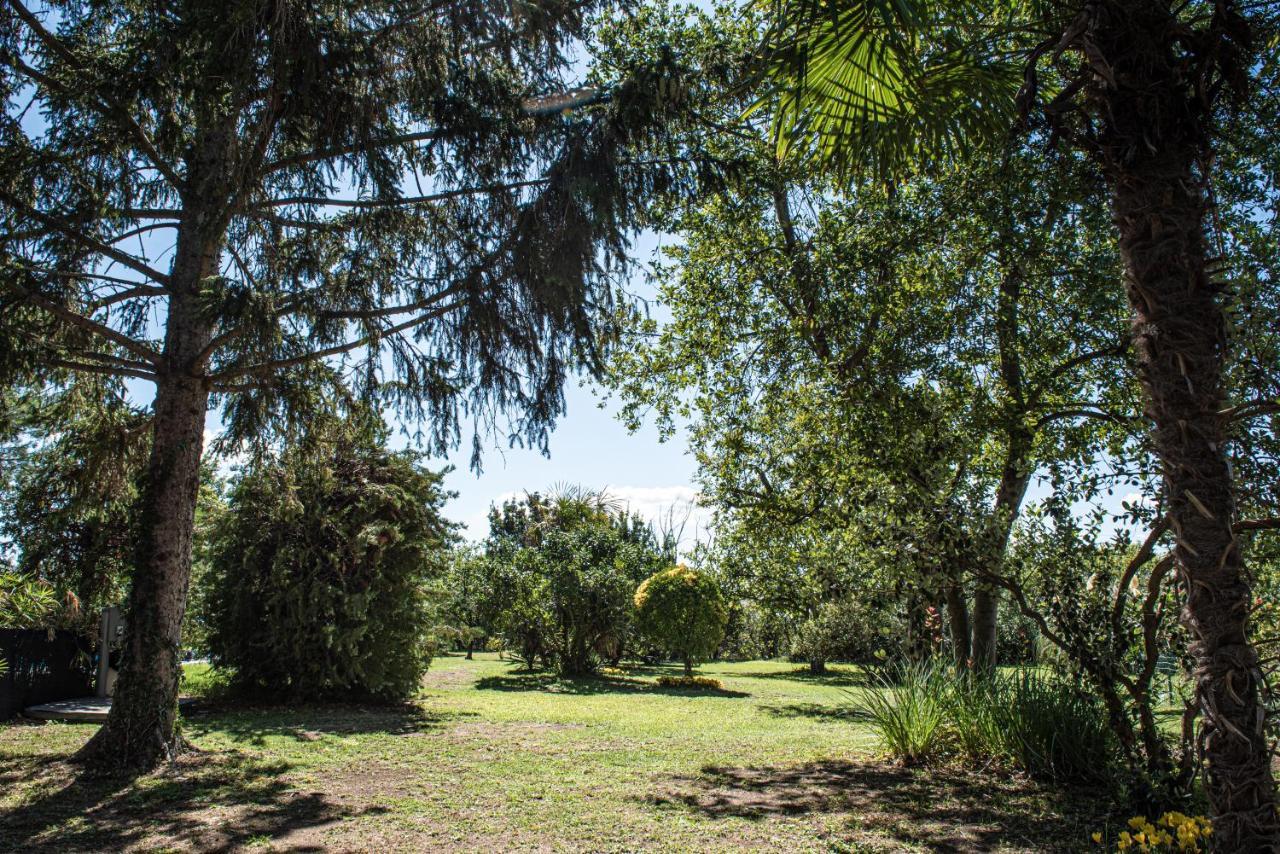 Terre Etrusche Guest House-Terme -3 Minuti Da Viterbo Centro מראה חיצוני תמונה